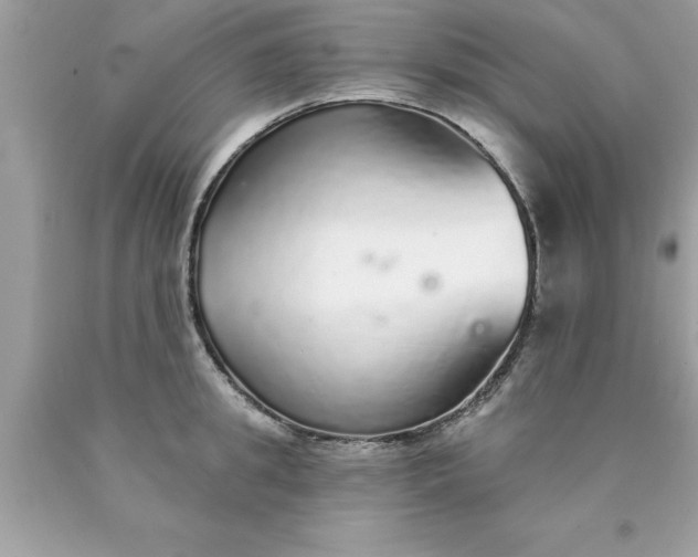 X0000090460949200707272234