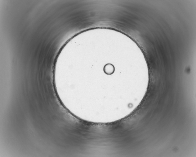 X0000090460950200707272234