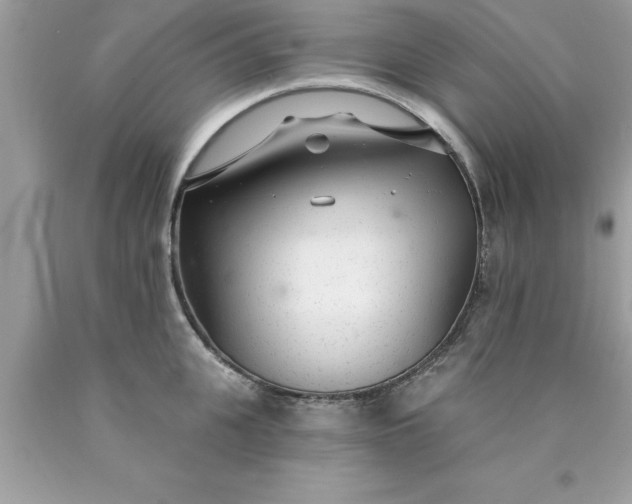 X0000090460951200707272234