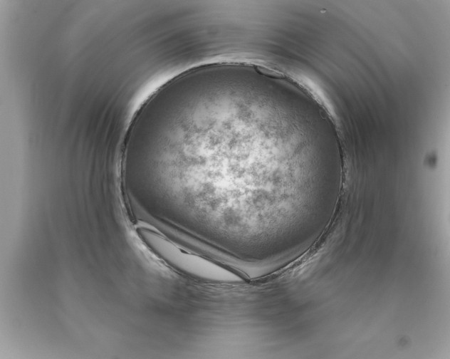 X0000090460952200707272234