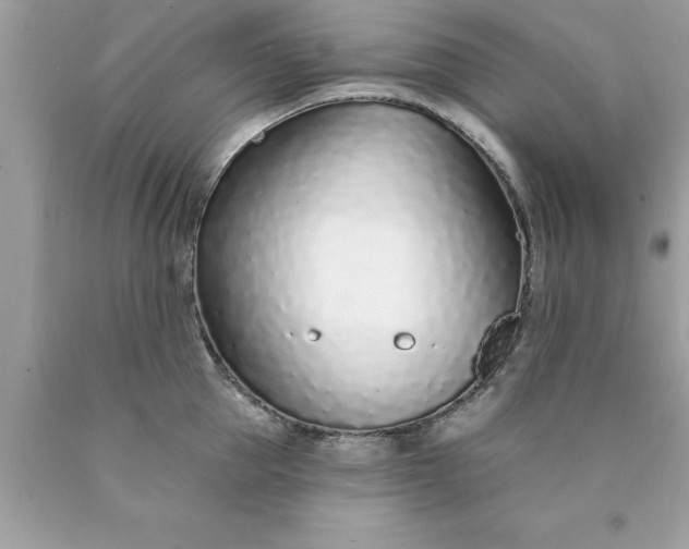 X0000090460953200707272234