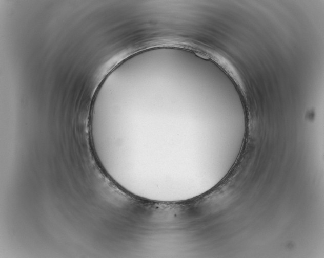 X0000090460954200707272234
