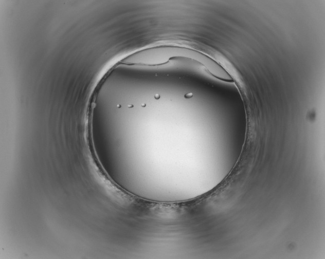 X0000090460955200707272234