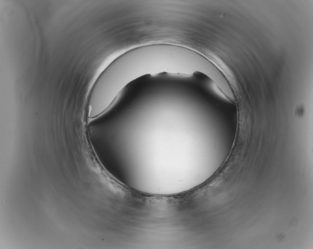 X0000090460956200707272234
