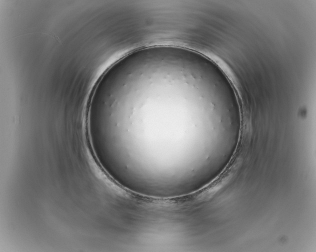 X0000090460957200707272234