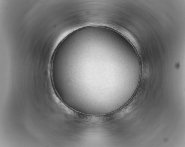 X0000090460958200707272234