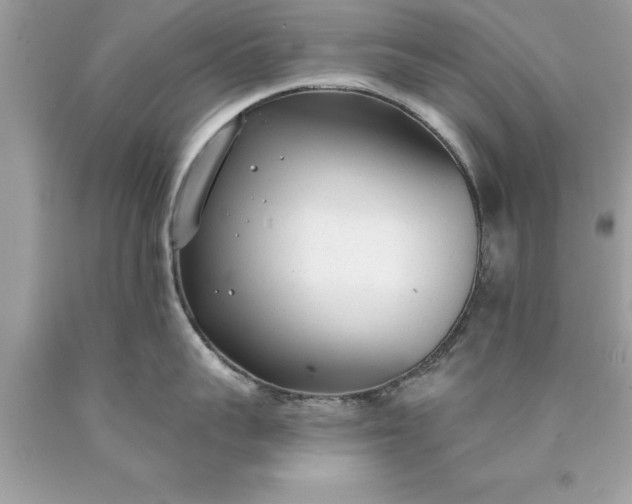 X0000090460959200707272234