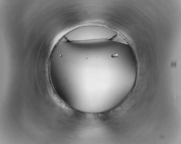 X0000090460960200707272234