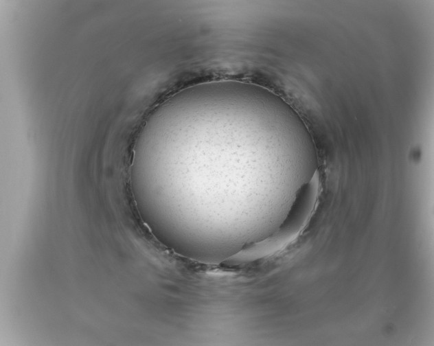 X0000090460961200707272233