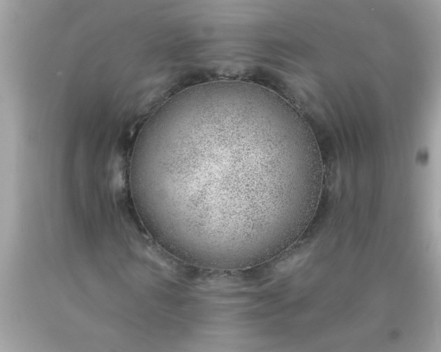 X0000090460962200707272233