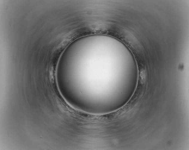 X0000090460963200707272233