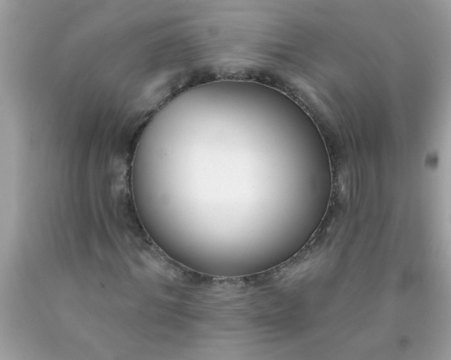 X0000090460964200707272233