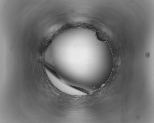 X0000090460965200707272233
