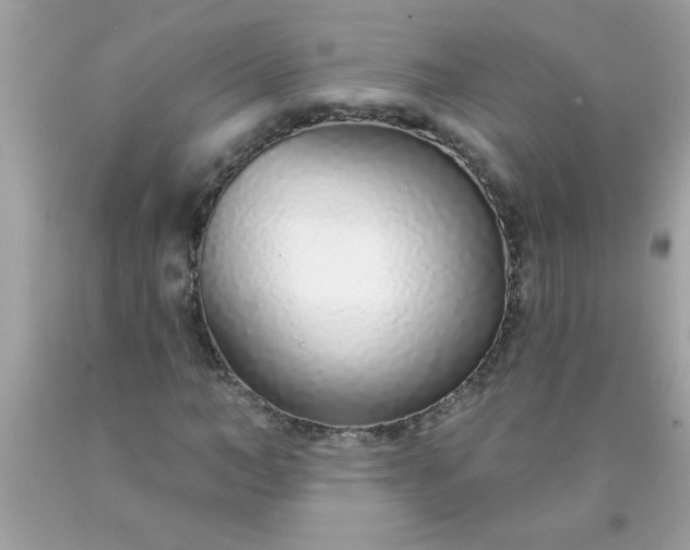 X0000090460966200707272233