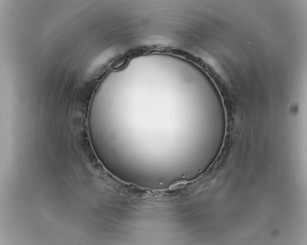 X0000090460967200707272233