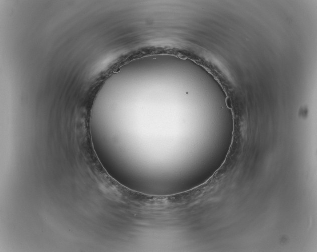X0000090460968200707272233