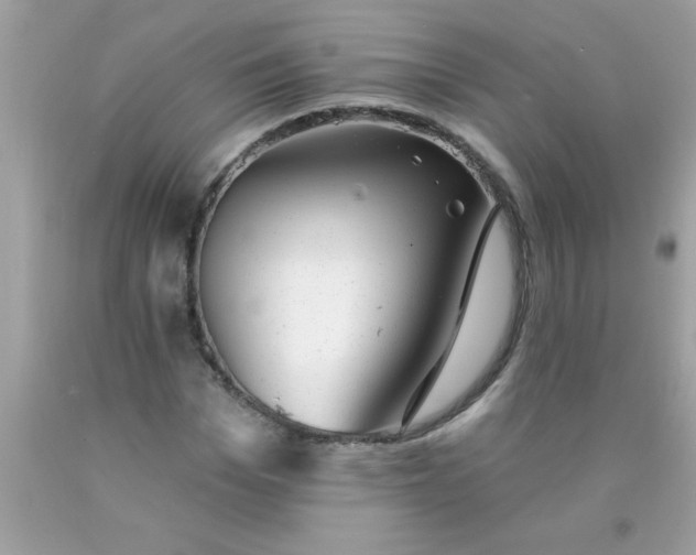 X0000090460969200707272233