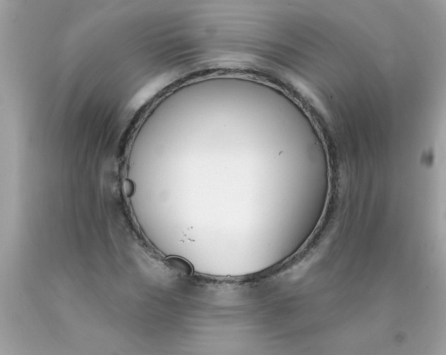 X0000090460970200707272233