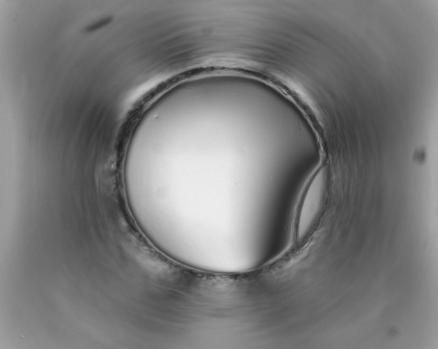 X0000090460971200707272233