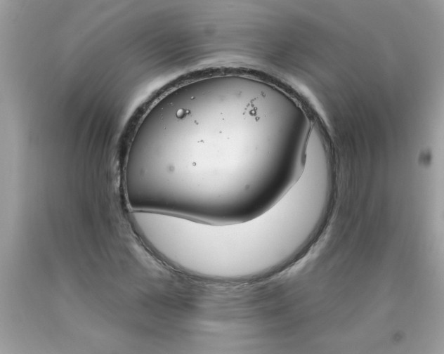 X0000090460973200707272233