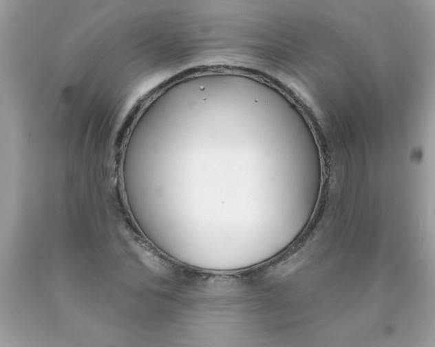 X0000090460974200707272233