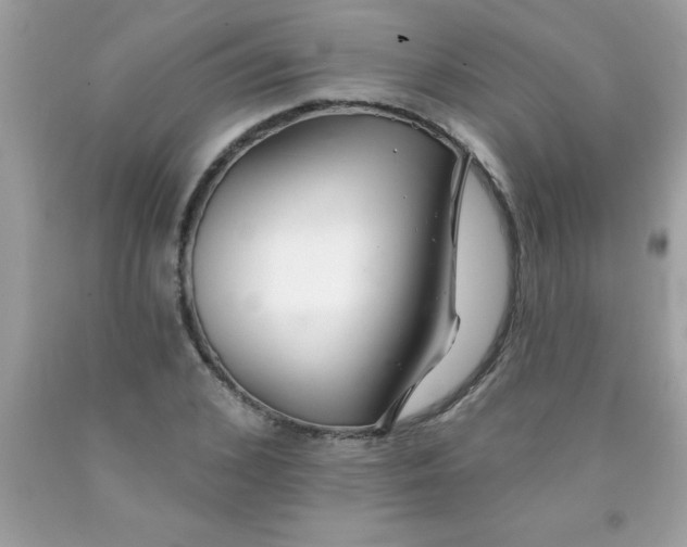 X0000090460976200707272233