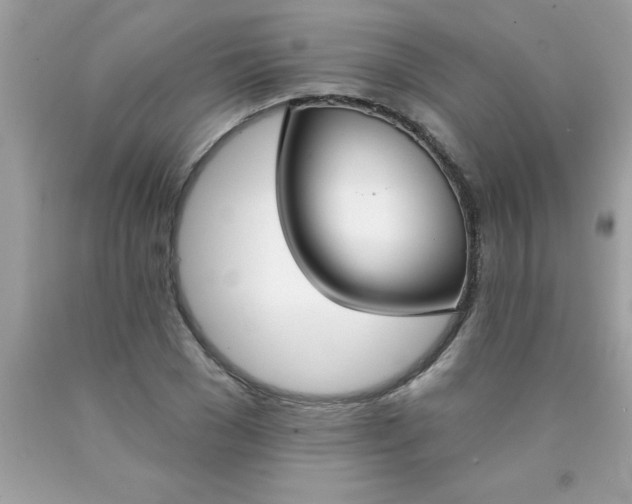 X0000090460977200707272233
