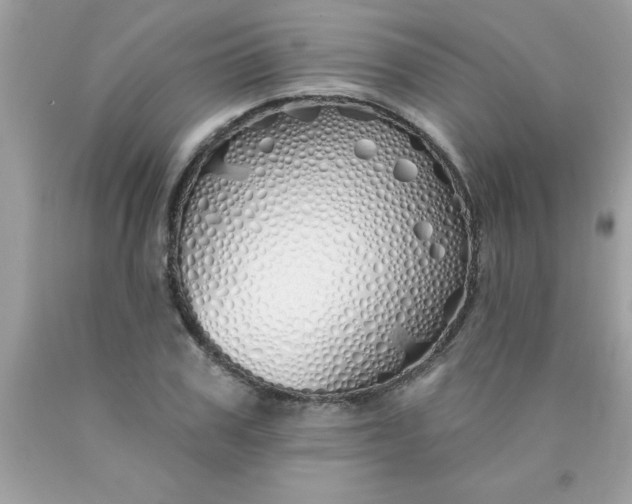 X0000090460979200707272233