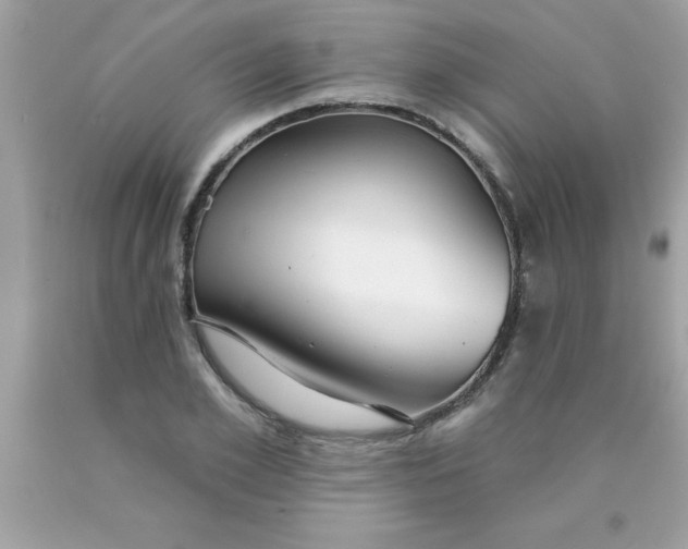 X0000090460981200707272233