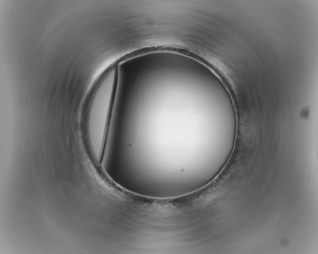 X0000090460983200707272233