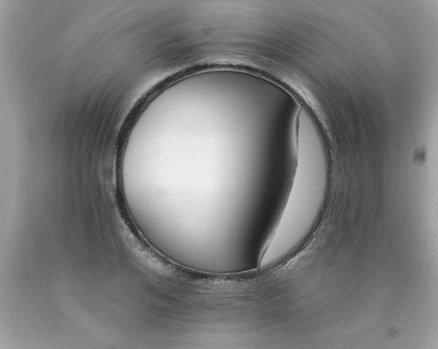 X0000090460984200707272233