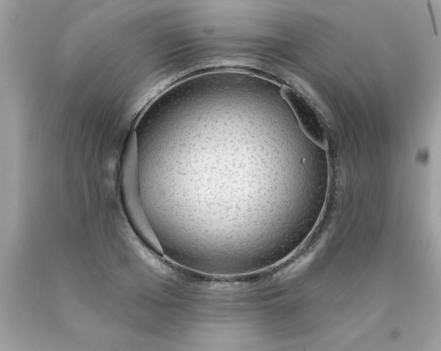 X0000090460985200707272233