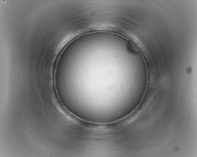 X0000090460986200707272233