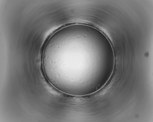 X0000090460987200707272233