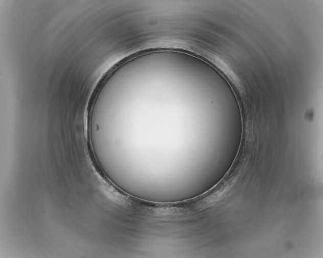 X0000090460988200707272233