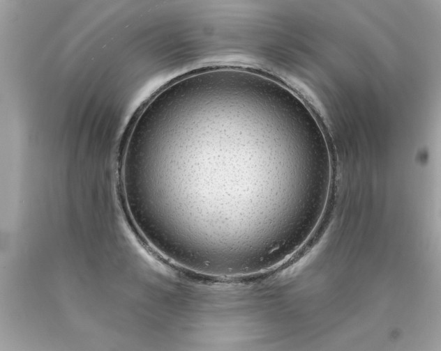 X0000090460989200707272233