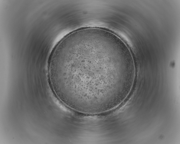 X0000090460990200707272233