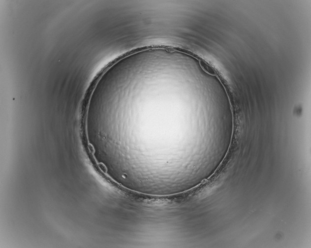 X0000090460991200707272233