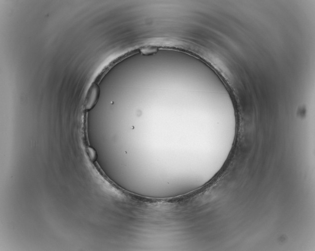 X0000090460992200707272233