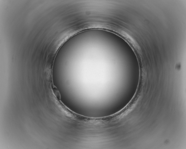 X0000090460993200707272233