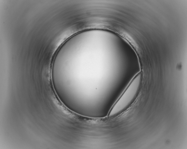 X0000090460994200707272233
