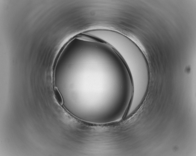 X0000090460996200707272233