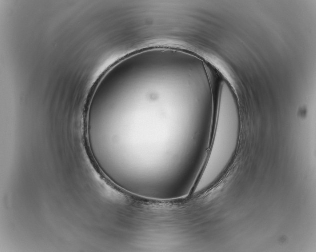X0000090460999200707272233