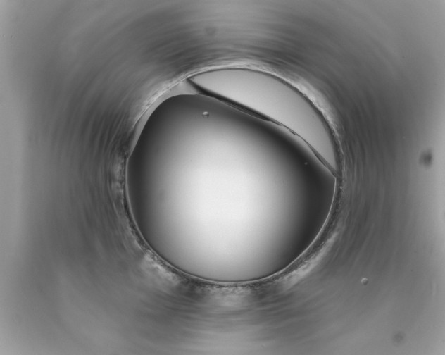 X0000090461001200707272233