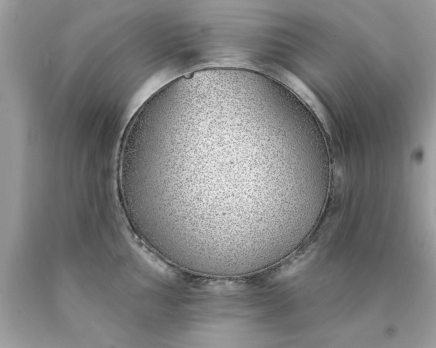 X0000090461002200707272233