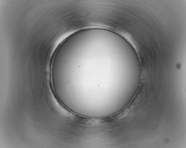 X0000090461003200707272233