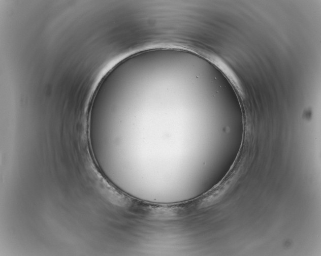 X0000090461004200707272233