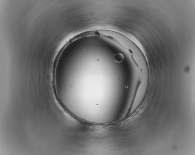 X0000090461005200707272233