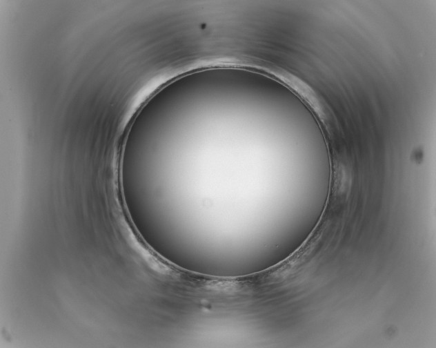 X0000090461006200707272233