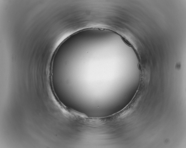X0000090461007200707272233